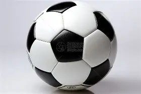 香港运动员,在东北训练,十年,世界杯买球,2026买球攻略,投注技巧,赛事分析,最新竞彩